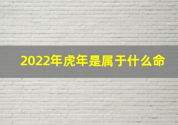 2022年虎年是属于什么命