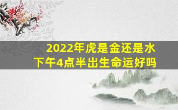 2022年虎是金还是水下午4点半岀生命运好吗