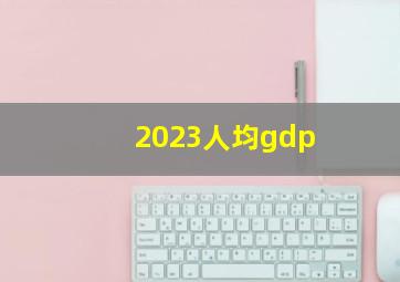 2023人均gdp