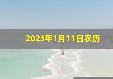 2023年1月11日农历