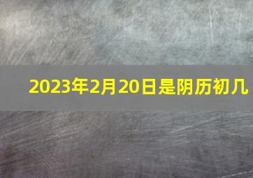 2023年2月20日是阴历初几