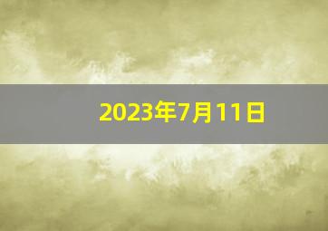 2023年7月11日