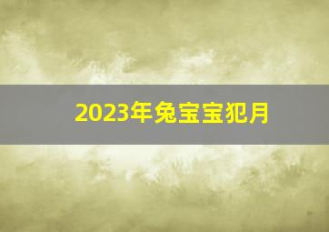 2023年兔宝宝犯月