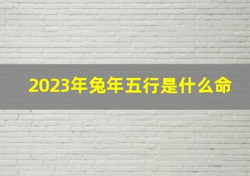 2023年兔年五行是什么命