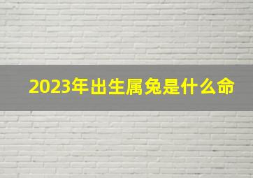 2023年出生属兔是什么命