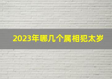 2023年哪几个属相犯太岁