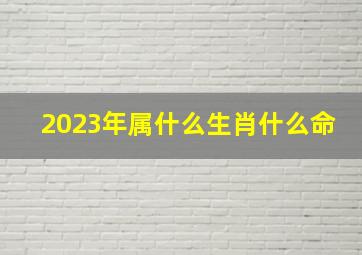 2023年属什么生肖什么命