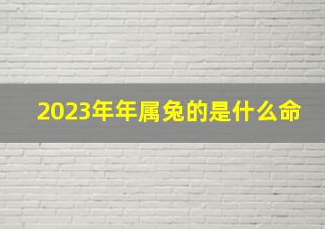 2023年年属兔的是什么命