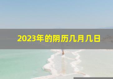 2023年的阴历几月几日