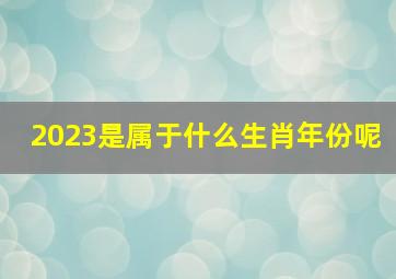 2023是属于什么生肖年份呢