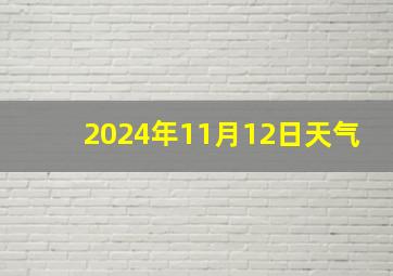 2024年11月12日天气