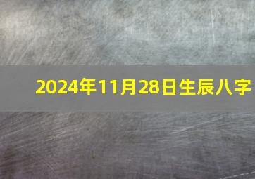 2024年11月28日生辰八字