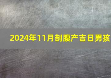 2024年11月剖腹产吉日男孩