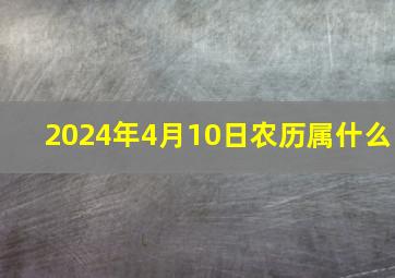 2024年4月10日农历属什么