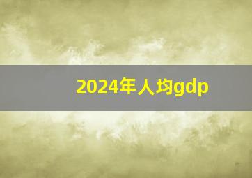 2024年人均gdp