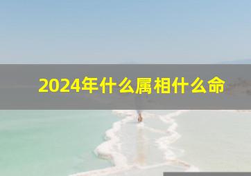 2024年什么属相什么命