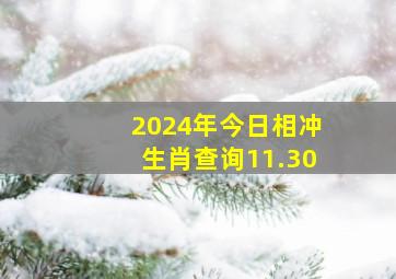 2024年今日相冲生肖查询11.30