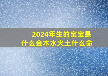 2024年生的宝宝是什么金木水火土什么命