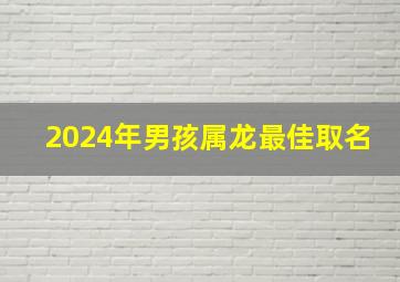 2024年男孩属龙最佳取名