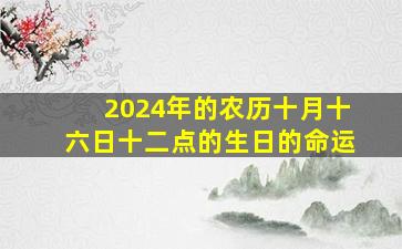 2024年的农历十月十六日十二点的生日的命运