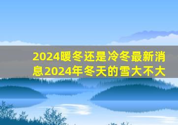 2024暖冬还是冷冬最新消息2024年冬天的雪大不大