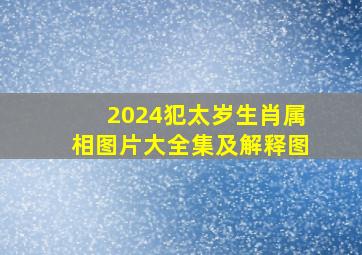 2024犯太岁生肖属相图片大全集及解释图