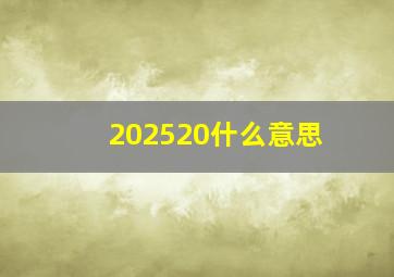 202520什么意思