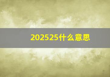 202525什么意思