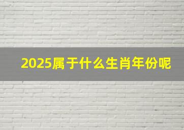 2025属于什么生肖年份呢