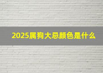 2025属狗大忌颜色是什么