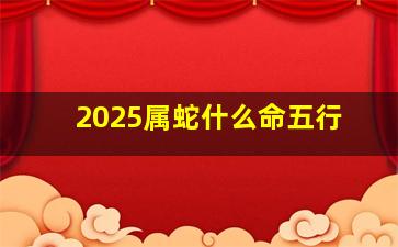 2025属蛇什么命五行