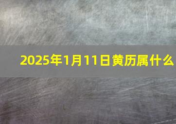 2025年1月11日黄历属什么