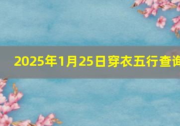 2025年1月25日穿衣五行查询