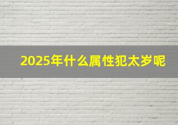 2025年什么属性犯太岁呢