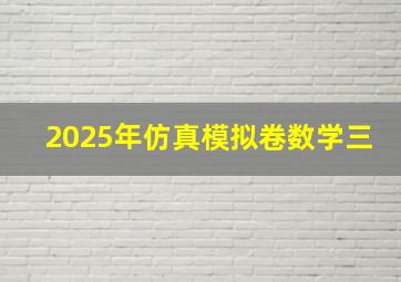 2025年仿真模拟卷数学三