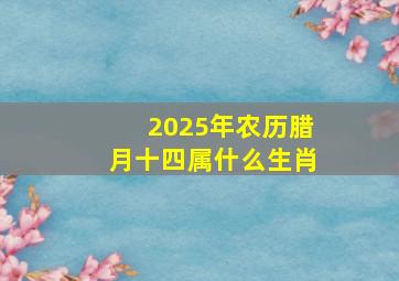 2025年农历腊月十四属什么生肖