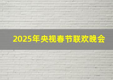 2025年央视春节联欢晚会