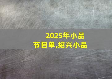 2025年小品节目单,绍兴小品