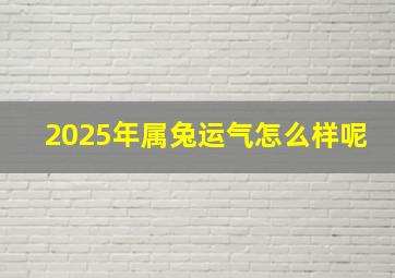 2025年属兔运气怎么样呢