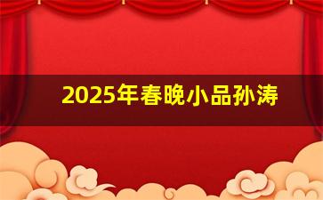 2025年春晚小品孙涛