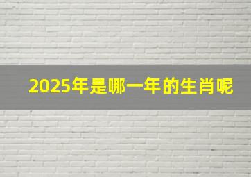 2025年是哪一年的生肖呢