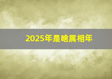 2025年是啥属相年