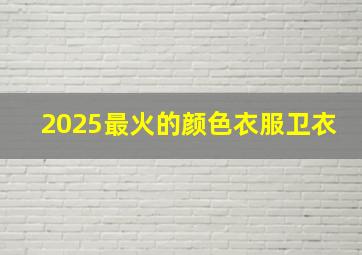 2025最火的颜色衣服卫衣