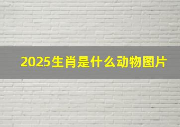 2025生肖是什么动物图片