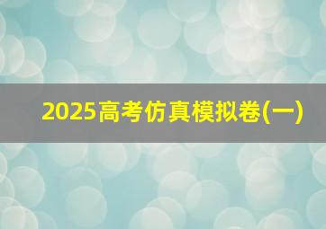 2025高考仿真模拟卷(一)