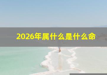 2026年属什么是什么命