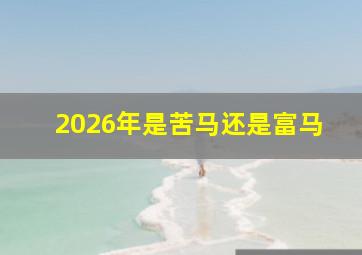 2026年是苦马还是富马