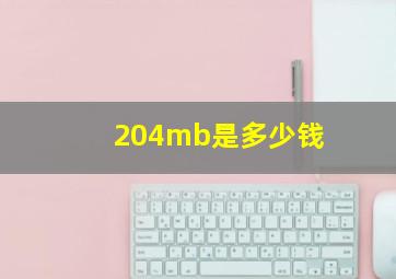 204mb是多少钱