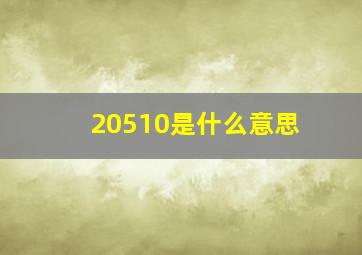 20510是什么意思