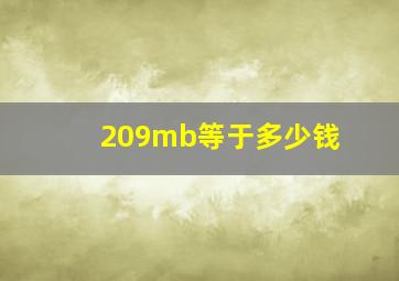 209mb等于多少钱